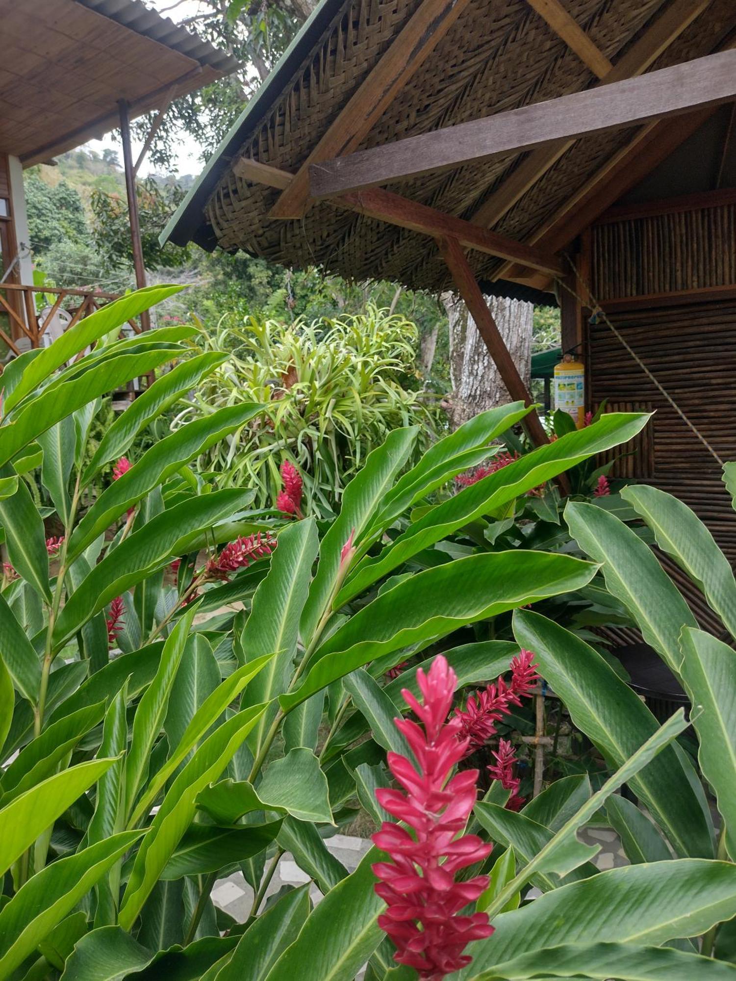 Kankui Lodge El Zaino